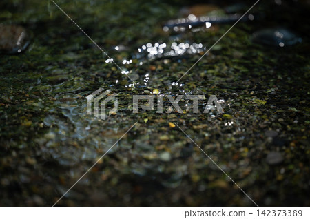 Light filtering into a shallow, clear stream and its reflection on the water. Light filtering into a shallow, clear stream and its reflection on the water. 142373389