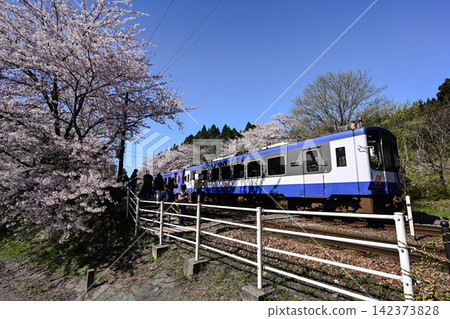 Noto Railway Sakura Station in full bloom Noto Railway Sakura Station in full bloom 142373828