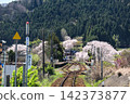 能登鐵道西岸站櫻花盛開，景色宜人。 142373877