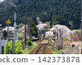能登鐵道西岸站櫻花盛開，景色宜人。 142373878
