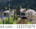 能登鐵道西岸站櫻花盛開，景色宜人。 142373879