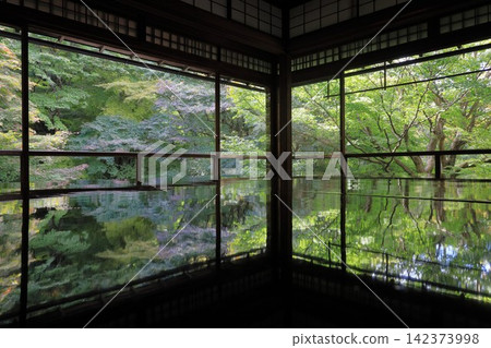 京都琉璃光院:十月的綠色楓葉倒映在桌面上 京都琉璃光院:十月的綠色楓葉倒映在桌面上 142373998