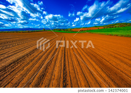 Vast fields and blue sky Vast fields and blue sky 142374001