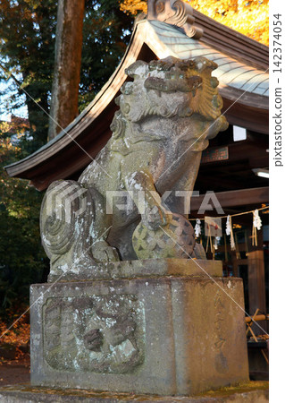 木月神社(武藏野) 木月神社(武藏野) 142374054