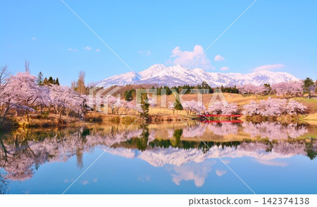 Cherry blossoms of Matsugamine in Myoko Kogen reflected on the lake surface under the early spring blue sky. Cherry blossoms of Matsugamine in Myoko Kogen reflected on the lake surface under the early spring blue sky. 142374138