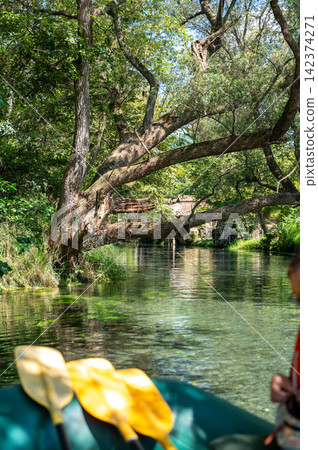 Large trees overhanging the clear stream and the waterside in summer Large trees overhanging the clear stream and the waterside in summer 142374271