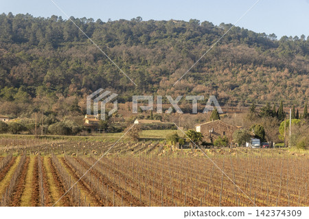 Provence Hillside Village with Winter Vineyards Provence Hillside Village with Winter Vineyards 142374309