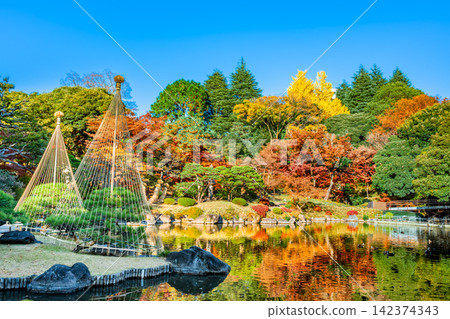 東京舊古河庭園 東京舊古河庭園 142374343