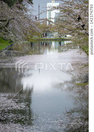花筏水道 花筏水道 142374793