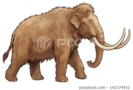 一幅令人垂涎欲滴的猛獁象插圖 一幅令人垂涎欲滴的猛獁象插圖 142374932