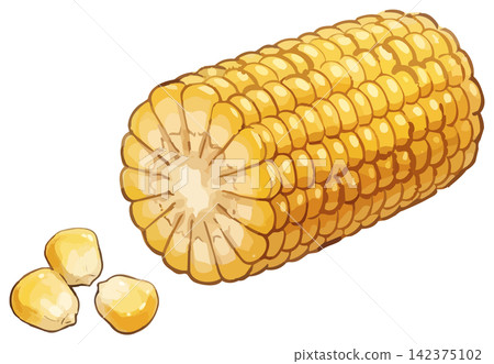 A mouthwatering illustration of corn A mouthwatering illustration of corn 142375102