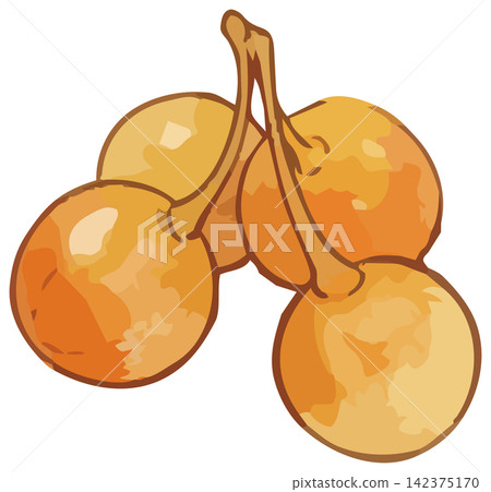 A visually appealing illustration of ginkgo leaves. A visually appealing illustration of ginkgo leaves. 142375170