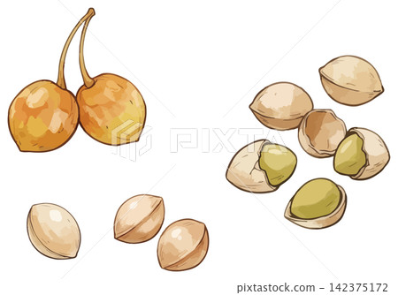 A visually appealing illustration of ginkgo leaves. A visually appealing illustration of ginkgo leaves. 142375172