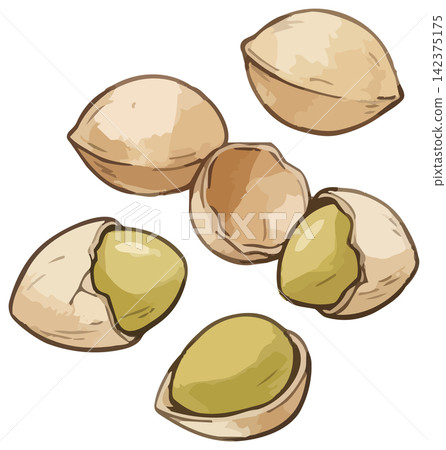 A visually appealing illustration of ginkgo leaves. A visually appealing illustration of ginkgo leaves. 142375175
