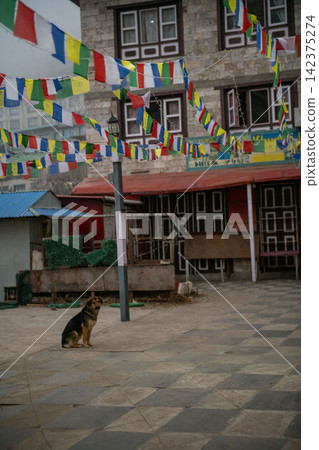 Scenery seen on the Himalayan trail in Nepal Scenery seen on the Himalayan trail in Nepal 142375274