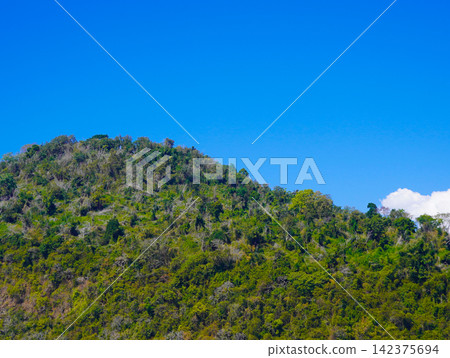 Lush green forested mountain peak and tropical jungle canopy under a bright blue sky with white clouds at Sembulungan Island, Banyuwangi, East Java, Indonesia. Lush green forested mountain peak and tropical jungle canopy under a bright blue sky with white clouds at Sembulungan Island, Banyuwangi, East Java, Indonesia. 142375694