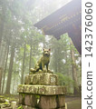 Shrine guardian lion and moss-covered lion 142376060