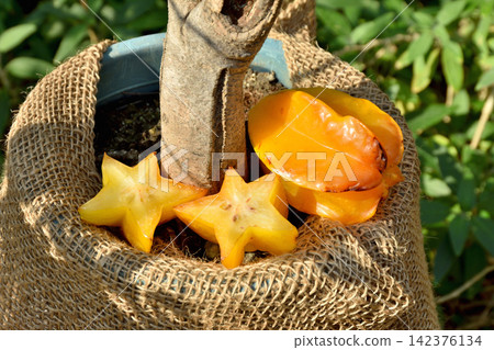 Star fruit at Sakuya Konohana Kan Star fruit at Sakuya Konohana Kan 142376134