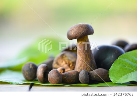 The Cep, Bolete Mushroom on leaf, Fresh raw wild mushroom organic food in a forest autumn - cep, black penny bun, porcino or king boletus, usually called black porcini mushroom The Cep, Bolete Mushroom on leaf, Fresh raw wild mushroom organic food in a forest autumn - cep, black penny bun, porcino or king boletus, usually called black porcini mushroom 142376762