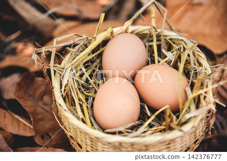 Chicken eggs in basket nest with dry autumn leaves background Chicken eggs in basket nest with dry autumn leaves background 142376777
