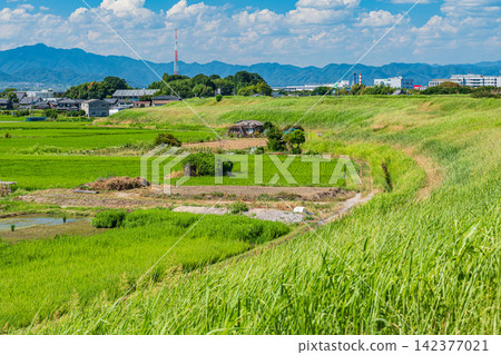 京都府八幡市木津川沿岸的鄉村景色 京都府八幡市木津川沿岸的鄉村景色 142377021