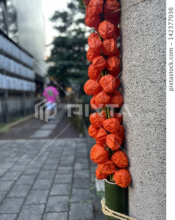 Vibrant Chinese lantern Vibrant Chinese lantern 142377036