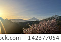夕陽映照著富士山和櫻花。 142377054