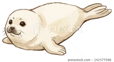 一幅令人垂涎欲滴的海豹插圖 一幅令人垂涎欲滴的海豹插圖 142377086