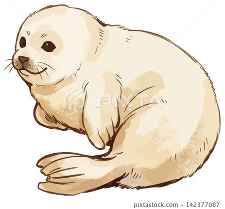 A mouthwatering illustration of a seal A mouthwatering illustration of a seal 142377087