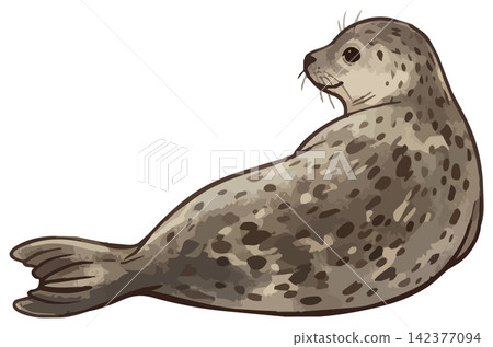 一幅令人垂涎欲滴的海豹插圖 一幅令人垂涎欲滴的海豹插圖 142377094