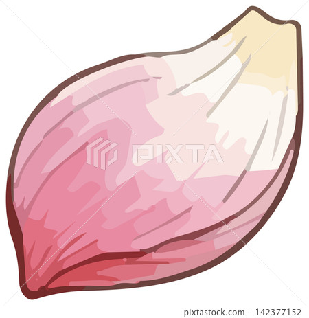 A vivid illustration of a lotus flower. A vivid illustration of a lotus flower. 142377152
