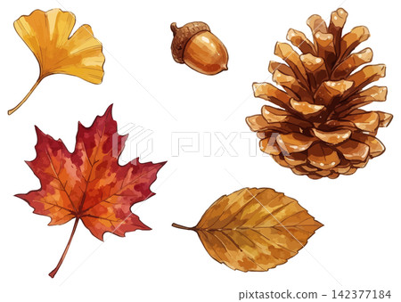 A vivid illustration of autumn leaves A vivid illustration of autumn leaves 142377184