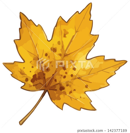 A vivid illustration of autumn leaves A vivid illustration of autumn leaves 142377189
