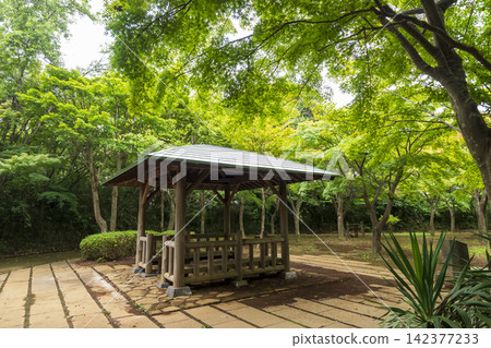 橫濱市戶塚區舞岡故裡公園的夏季稻田 橫濱市戶塚區舞岡故裡公園的夏季稻田 142377233