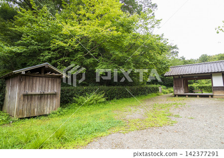 橫濱市戶塚區舞岡故裡公園的夏季稻田 142377291