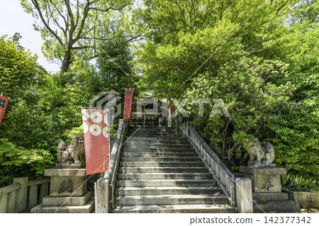大阪府大阪市真田山三光神社石階 大阪府大阪市真田山三光神社石階 142377342