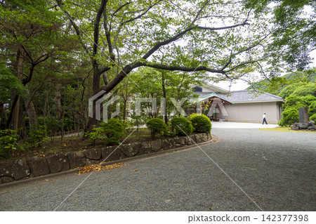 葉山潮騷公園的夏天 葉山潮騷公園的夏天 142377398