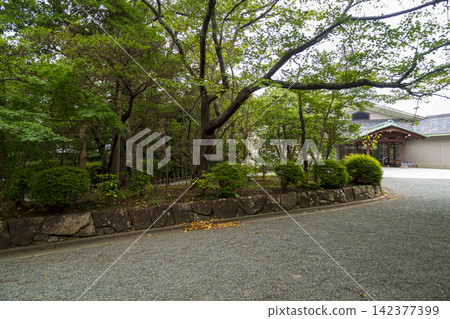 葉山潮騷公園的夏天 142377399