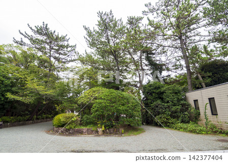葉山潮騷公園的夏天 葉山潮騷公園的夏天 142377404