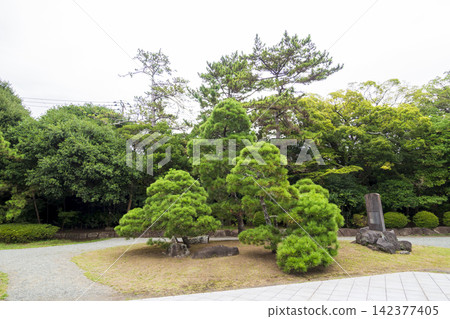 葉山潮騷公園的夏天 葉山潮騷公園的夏天 142377405