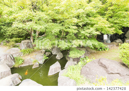 葉山潮騷公園的夏天 葉山潮騷公園的夏天 142377428