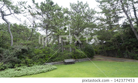 葉山潮騷公園的夏天 葉山潮騷公園的夏天 142377453