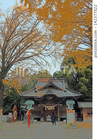 田無神宮(東京西部) 田無神宮(東京西部) 142377822