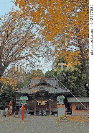 田無神宮（東京西部） 142377823