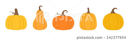 Five Autumn Pumpkins Five Autumn Pumpkins 142377954