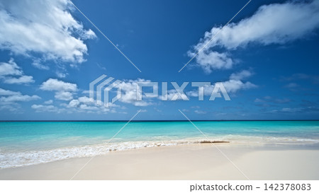 Tropical Beach with Turquoise Ocean and Blue Sky Tropical Beach with Turquoise Ocean and Blue Sky 142378083
