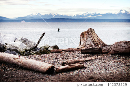 Driftwood on Rocky Beach with Ocean and Snowy Mountains Driftwood on Rocky Beach with Ocean and Snowy Mountains 142378229