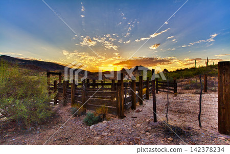 Desert Sunset Landscape with Rustic Fence and Cactus Desert Sunset Landscape with Rustic Fence and Cactus 142378234