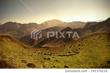 Mountain Landscape with Grazing Sheep in Golden Light Mountain Landscape with Grazing Sheep in Golden Light 142378238