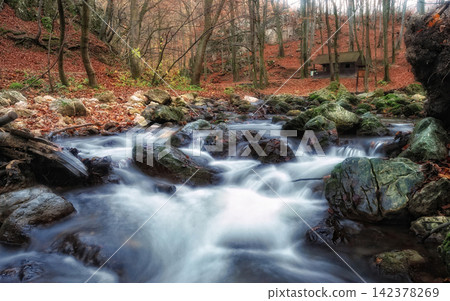 Autumn Forest Stream with Mossy Rocks and Silky Water Autumn Forest Stream with Mossy Rocks and Silky Water 142378269